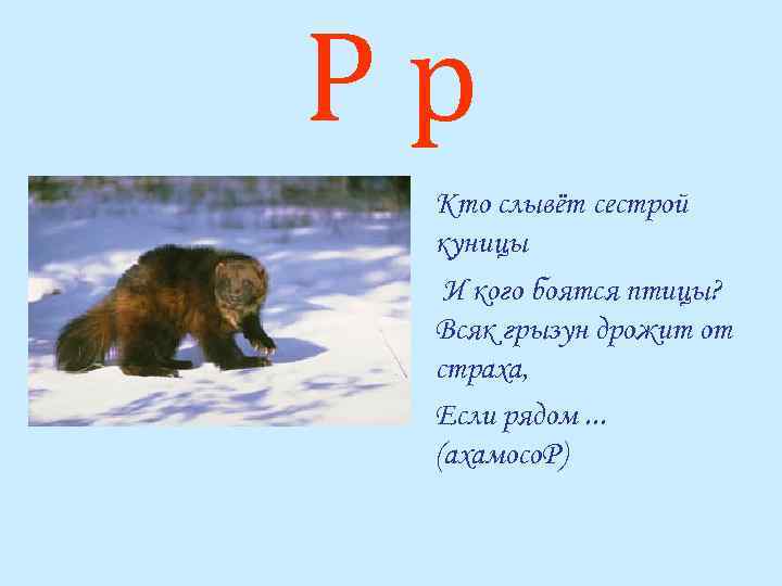 Рр Кто слывёт сестрой куницы И кого боятся птицы? Всяк грызун дрожит от страха,