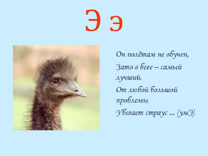 Ээ Он полётам не обучен, Зато в беге – самый лучший. От любой большой