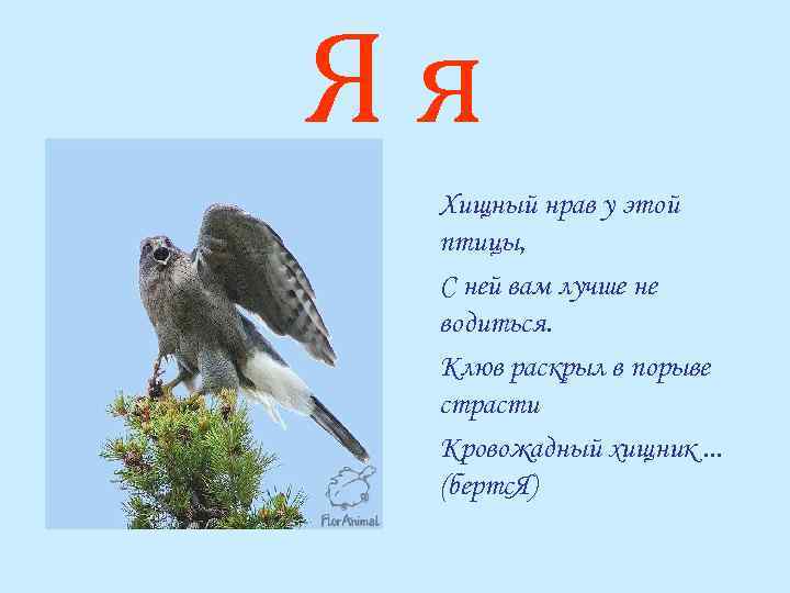 Яя Хищный нрав у этой птицы, С ней вам лучше не водиться. Клюв раскрыл