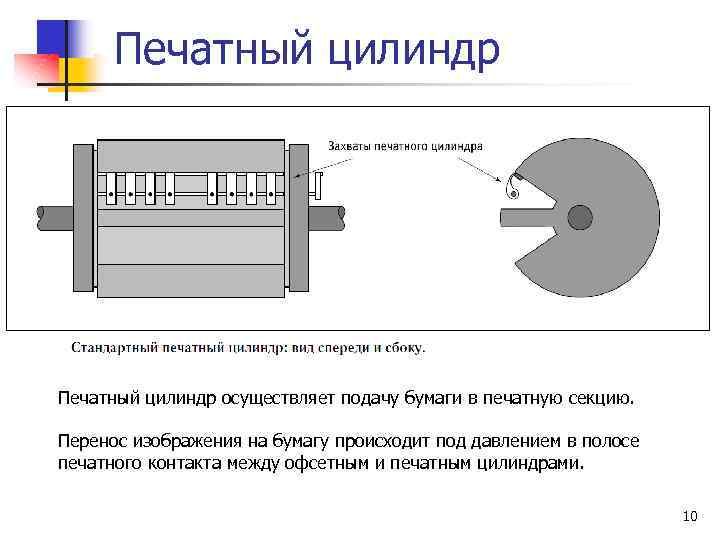 Печатный цилиндр осуществляет подачу бумаги в печатную секцию. Перенос изображения на бумагу происходит под