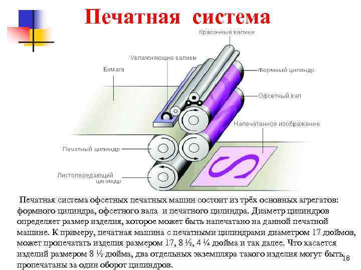 Печатная система Печатная система офсетных печатных машин состоит из трёх основных агрегатов: формного цилиндра,