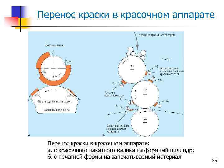 Перенос краски в красочном аппарате: а. с красочного накатного валика на формный цилиндр; б.