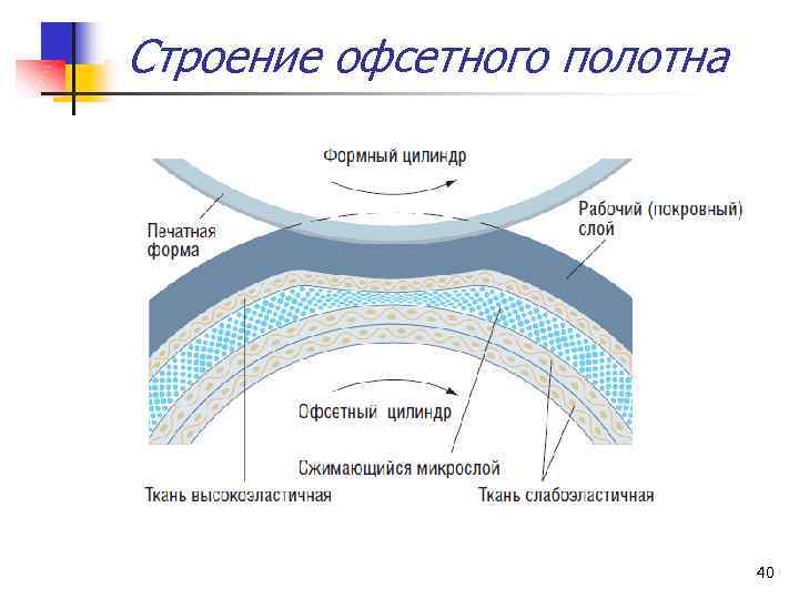 Строение офсетного полотна 40 