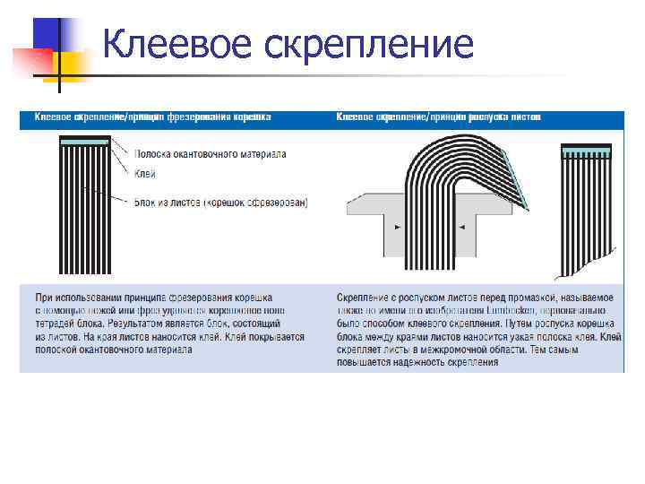 Клеевое скрепление 