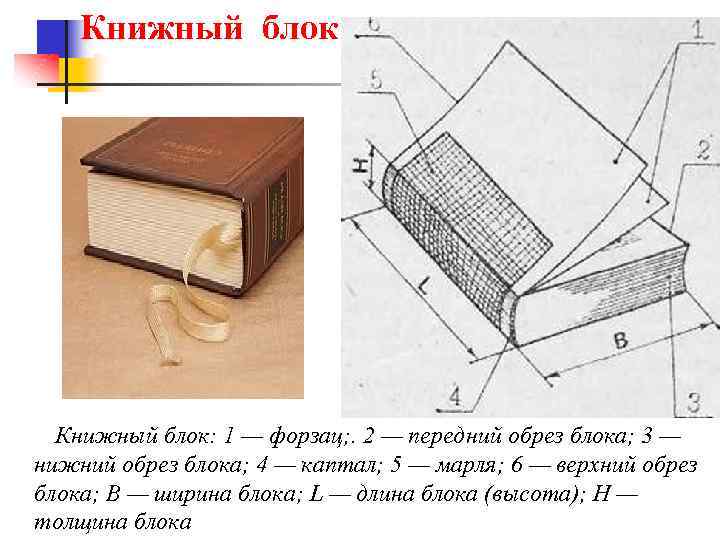 Книжный блок: 1 — форзац; . 2 — передний обрез блока; 3 — нижний