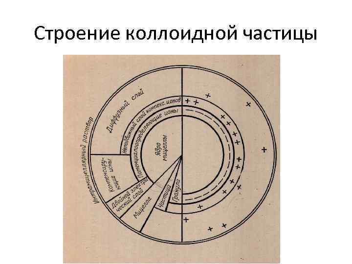 Строение коллоидной частицы 