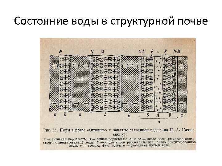 Состояние воды в структурной почве 