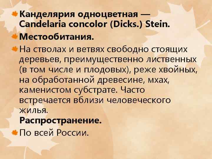 Канделярия одноцветная — Candelaria concolor (Dicks. ) Stein. Местообитания. На стволах и ветвях свободно