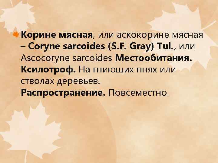 Корине мясная, или аскокорине мясная – Coryne sarcoides (S. F. Gray) Tul. , или