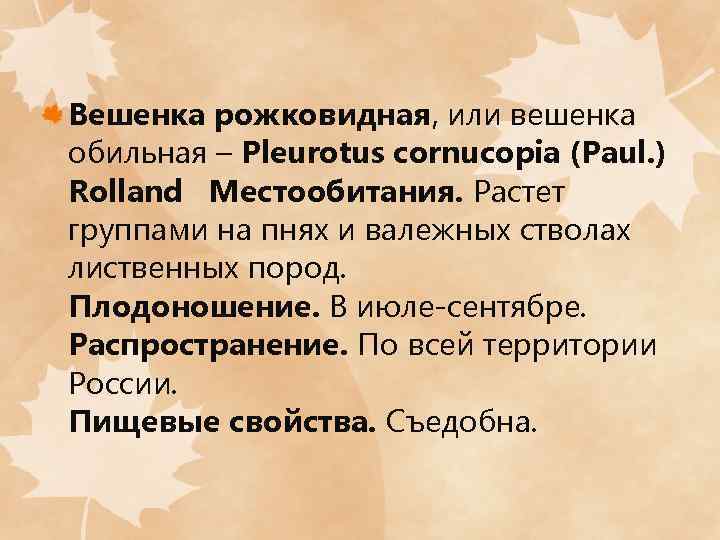 Вешенка рожковидная, или вешенка обильная – Pleurotus cornucopia (Paul. ) Rolland Местообитания. Растет группами