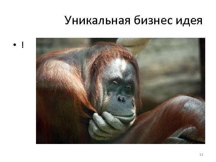 Уникальная бизнес идея • ! 11 