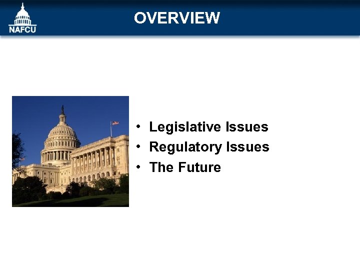 OVERVIEW • Legislative Issues • Regulatory Issues • The Future 