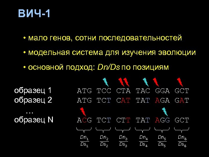 ВИЧ-1 • мало генов, сотни последовательностей • модельная система для изучения эволюции • основной