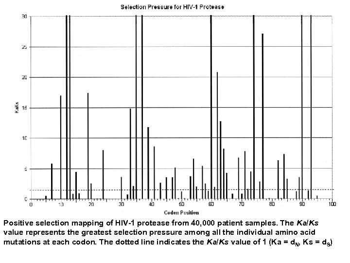 Positive selection mapping of HIV-1 protease from 40, 000 patient samples. The Ka/Ks value