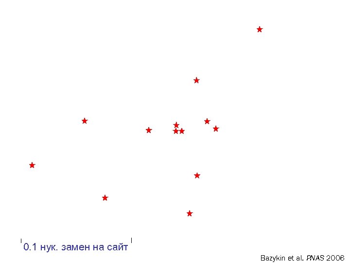 0. 1 нук. замен на сайт Bazykin et al. PNAS 2006 