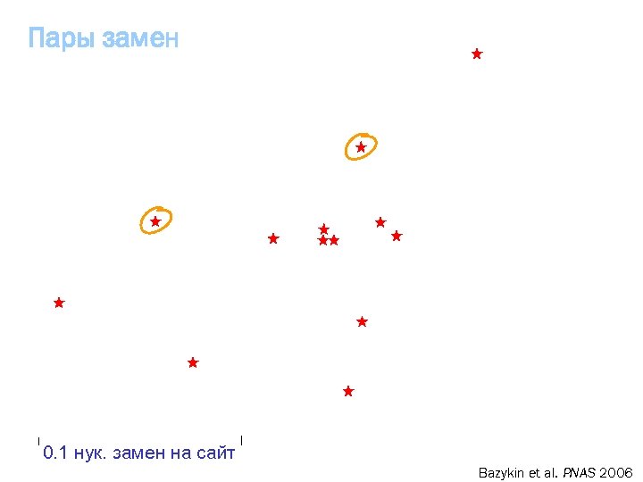 Пары замен 0. 1 нук. замен на сайт Bazykin et al. PNAS 2006 