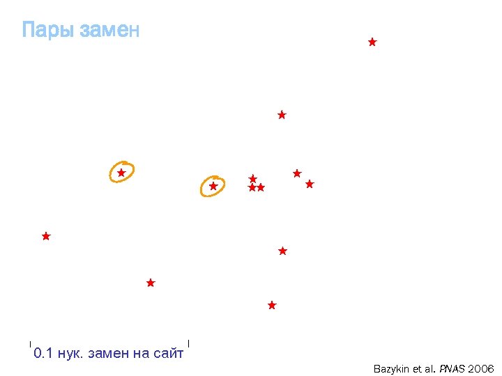 Пары замен 0. 1 нук. замен на сайт Bazykin et al. PNAS 2006 