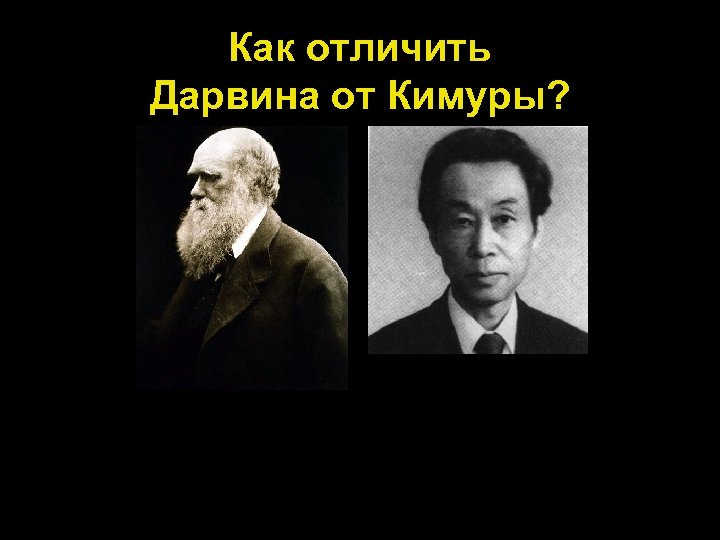 Как отличить Дарвина от Кимуры? 