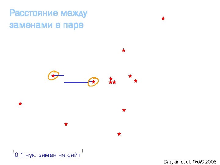 Расстояние между заменами в паре 0. 1 нук. замен на сайт Bazykin et al.