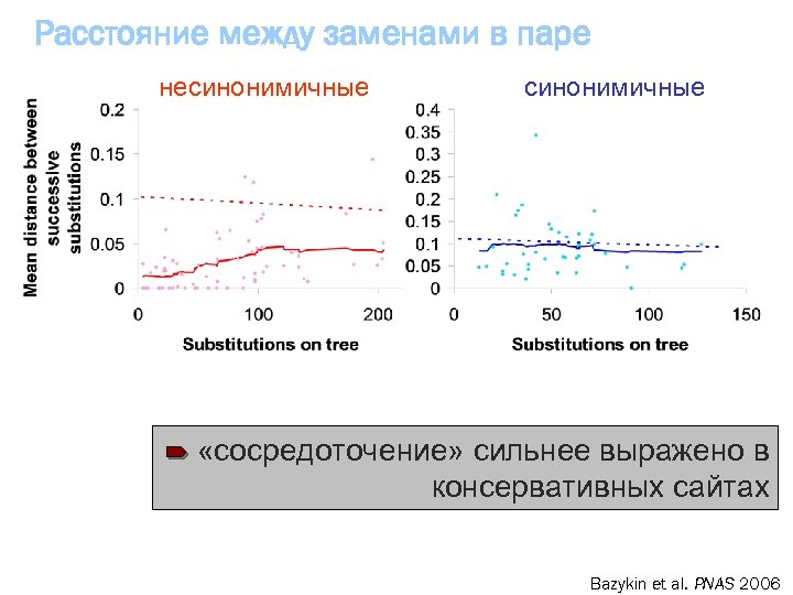 Расстояние между заменами в паре несинонимичные «сосредоточение» сильнее выражено в консервативных сайтах Bazykin et