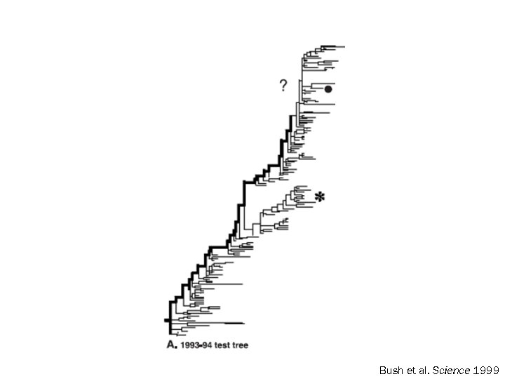 Bush et al. Science 1999 