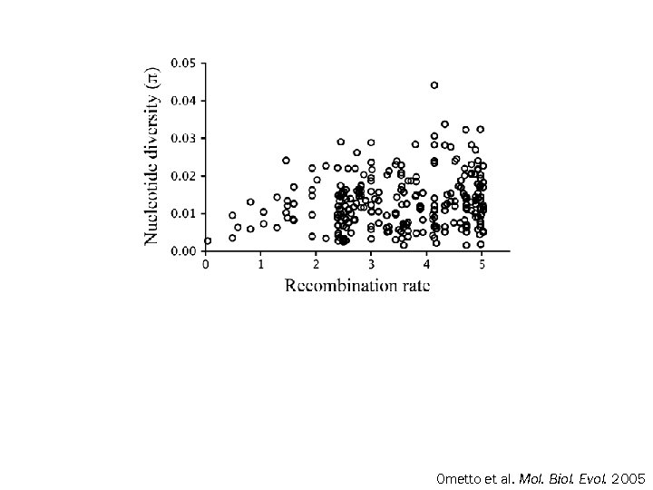 Ometto et al. Mol. Biol. Evol. 2005 