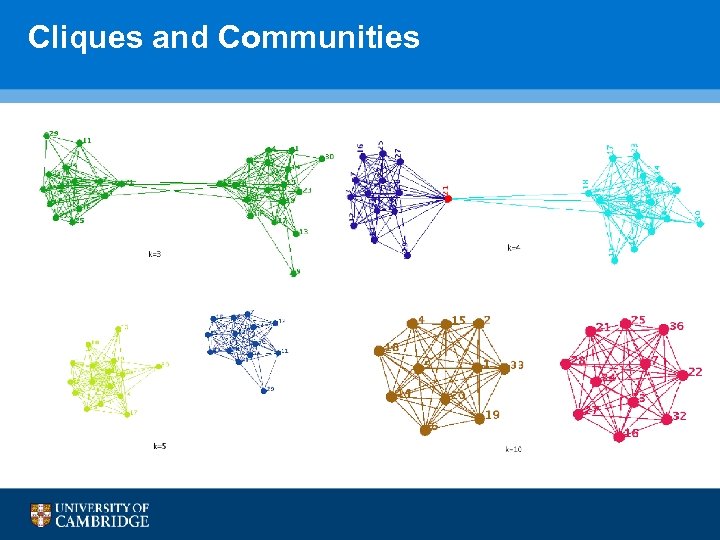 Cliques and Communities 