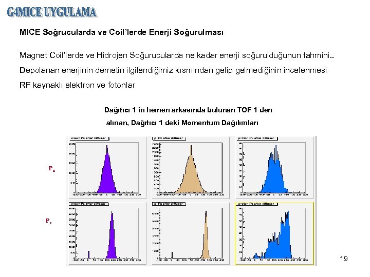 MICE Soğrucularda ve Coil’lerde Enerji Soğurulması Magnet Coil’lerde ve Hidrojen Soğurucularda ne kadar enerji