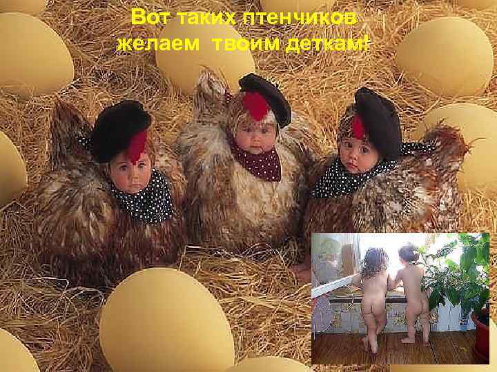 Вот таких птенчиков желаем твоим деткам! 