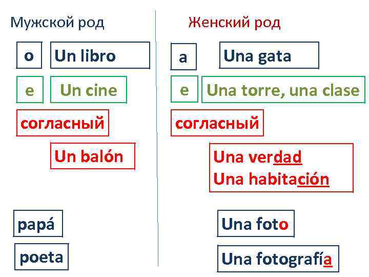 Мужской род Женский род o Un libro a e Un cine e Una torre,