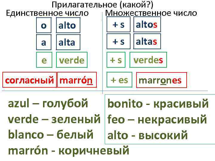 Чудеса в единственном числе. Род прилагательных в испанском языке. Род в испанском языке.