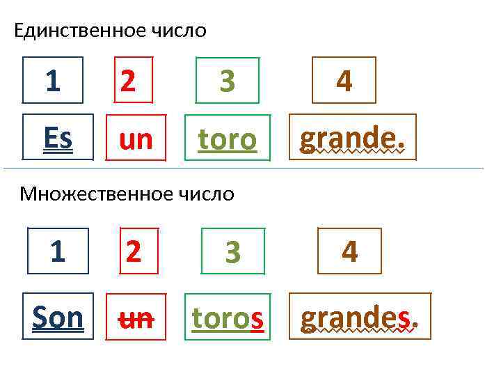 Единственное число 1 2 3 4 Es un toro grande. Множественное число 1 2