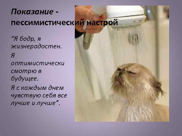 Показание - пессимистический настрой “Я бодр, я жизнерадостен. Я оптимистически смотрю в будущее. Я