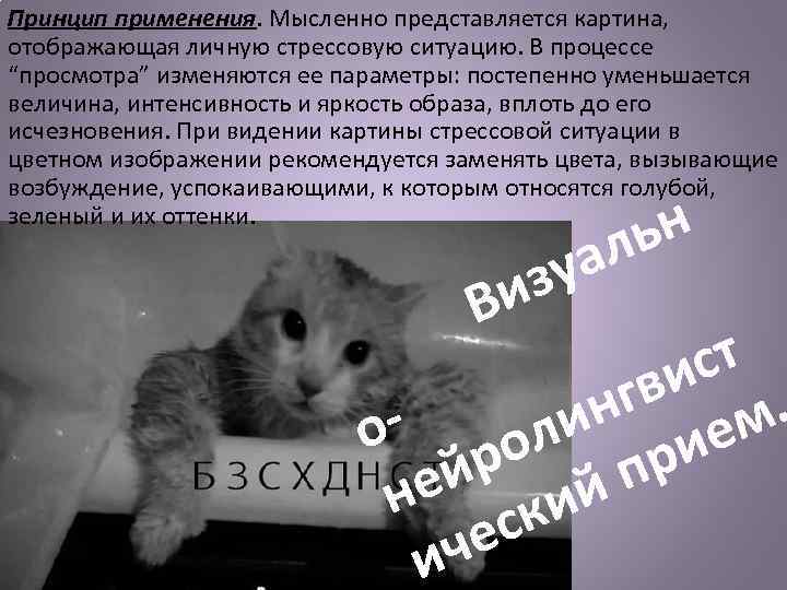 Принцип применения. Мысленно представляется картина, отображающая личную стрессовую ситуацию. В процессе “просмотра” изменяются ее