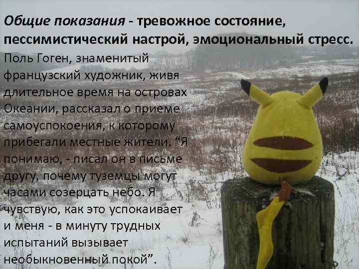 Общие показания - тревожное состояние, пессимистический настрой, эмоциональный стресс. Поль Гоген, знаменитый французский художник,
