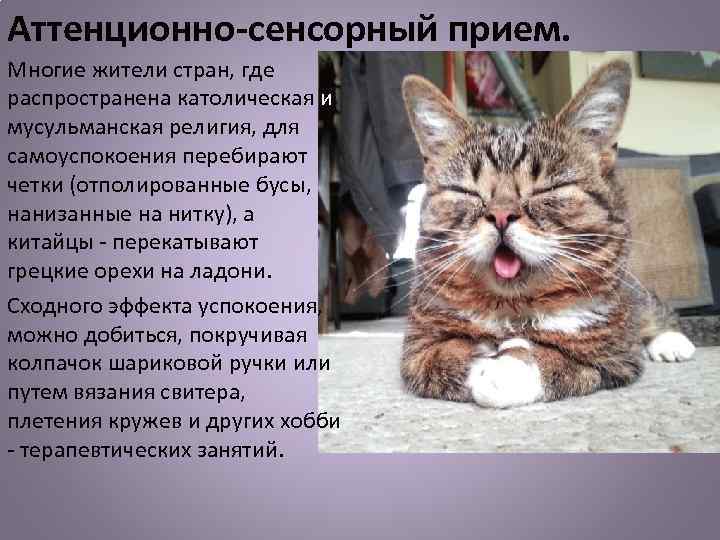 Аттенционно-сенсорный прием. Многие жители стран, где распространена католическая и мусульманская религия, для самоуспокоения перебирают