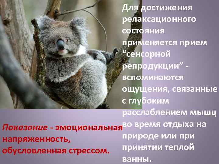 Для достижения релаксационного состояния применяется прием “сенсорной репродукции” - вспоминаются ощущения, связанные с глубоким