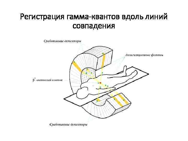 Регистрация гамма-квантов вдоль линий совпадения 