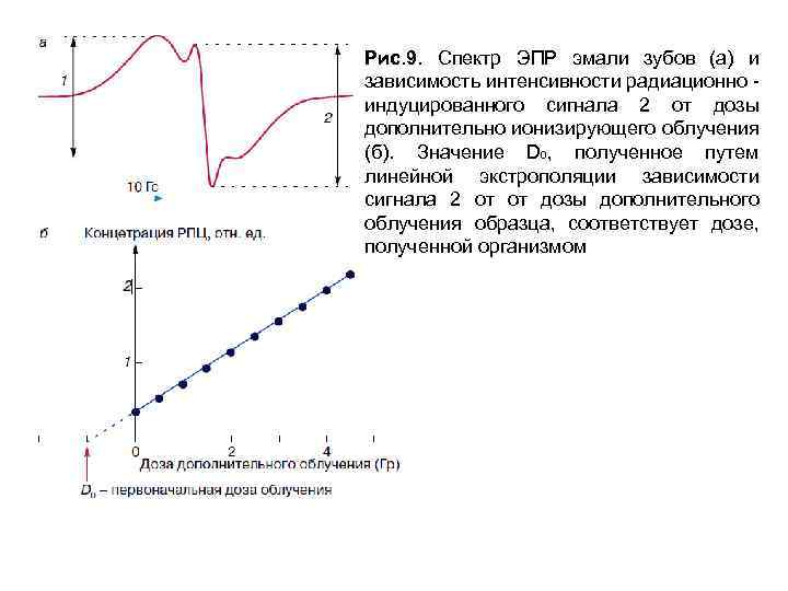 Рис. 9. Спектр ЭПР эмали зубов (а) и зависимость интенсивности радиационно - индуцированного сигнала