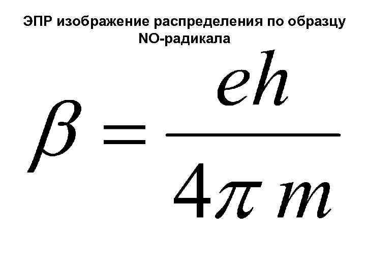 ЭПР изображение распределения по образцу NO-радикала 