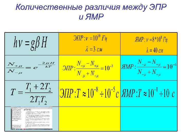 Количественные различия между ЭПР и ЯМР 