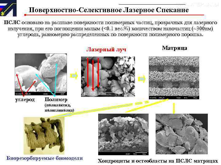 БИОМАТЕРИАЛЫ Поверхностно-Селективное Лазерное Спекание ПСЛС основано на расплаве поверхности полимерных частиц, прозрачных для лазерного