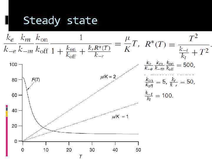 Steady state 