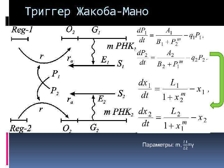 Триггер Жакоба-Мано 