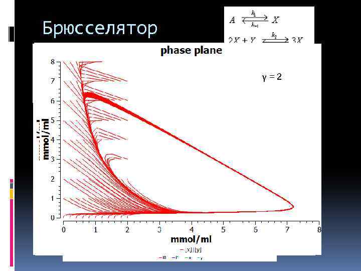 Брюсселятор γ = 0. 1 γ = 2 γ = 0. 95 