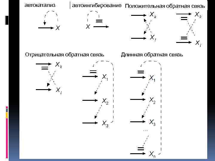 автокатализ автоингибирование Положительная обратная связь Я Отрицательная обратная связь Длинная обратная связь 
