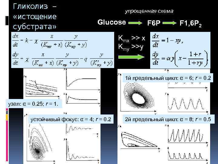Гликолиз – «истощение субстрата» упрощенная схема Glucose F 6 P F 1, 6 P