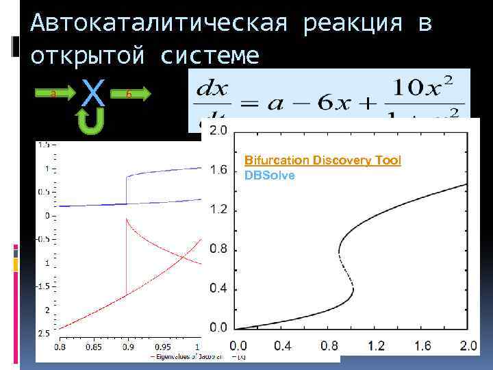 Автокаталитическая реакция в открытой системе a X 6 Bifurcation Discovery Tool DBSolve 