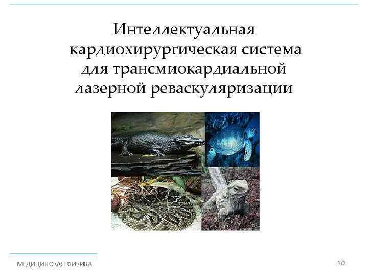 Интеллектуальная кардиохирургическая система для трансмиокардиальной лазерной реваскуляризации МЕДИЦИНСКАЯ ФИЗИКА 10 