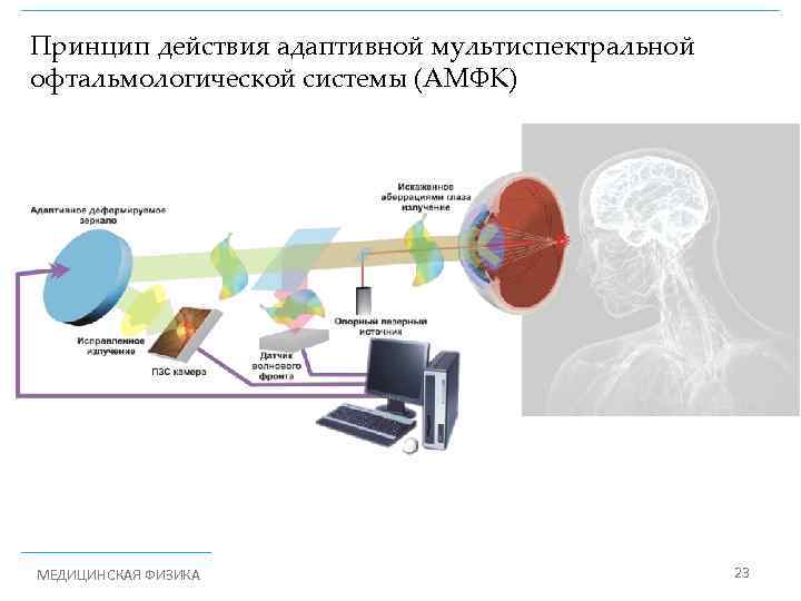 Принцип действия адаптивной мультиспектральной офтальмологической системы (АМФК) МЕДИЦИНСКАЯ ФИЗИКА 23 